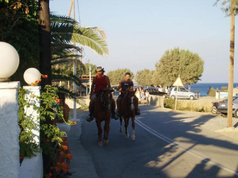 קיוטארי Seaside Studios Kirania מראה חיצוני תמונה